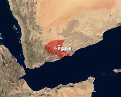 ضبط شاب بحوزته أكثر من كيلوغرام من المخدرات في شبوة