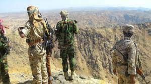 القوات الحكومية تصد عدوان حوثي في يافع