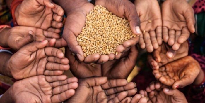 الأمم المتحدة: الأمن الغذائي في اليمن سيستمر بالتدهور