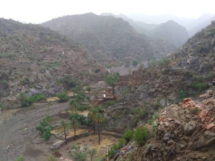 أبناء المقاطرة يدينون اقتحام قوات الإصلاح لمنازلهم و تنفيذ حملات اعتقالات تعسفية