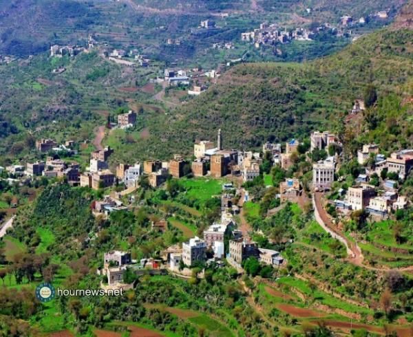 مصرع امرأة في إب على يد جارها بسبب خروف