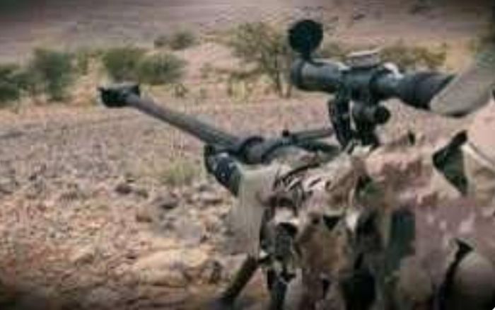 قناص الحوثي في تبة السلال يواصل جرائمه بحق ابناء تعز