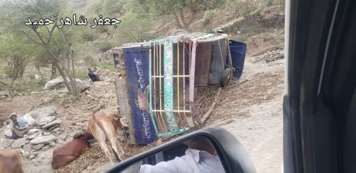 انقلاب شاحنة محملة بثيران أفريقية في خط القبيطة