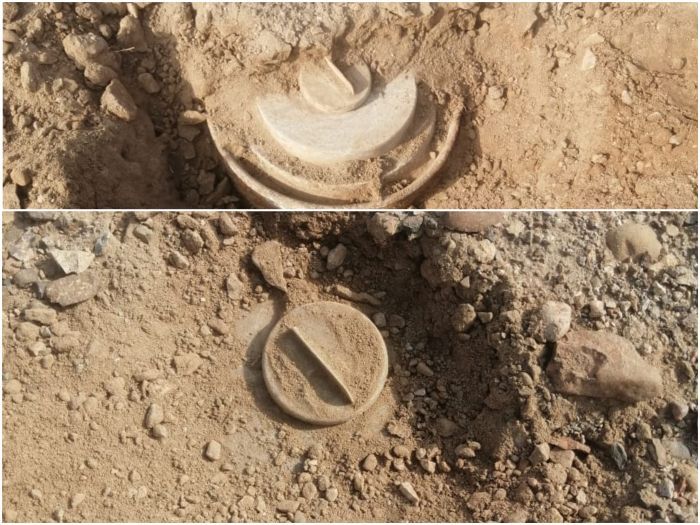 اكتشاف حقل ألغام من مخلفات مليشيا الحوثي الإرهابية في الساحل الغربي