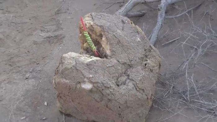 في حيس مدارس مُغلقة والسبب ألغام الحوثي