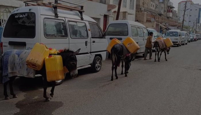 أزمة مياه بكريتر يجبر السكان على استخدام الحمير لجلبه إلى منازلهم
