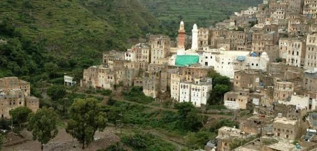 عصابة حوثية  تقتل مواطنًا في جبلة لنهب أرضه بالقوة.
