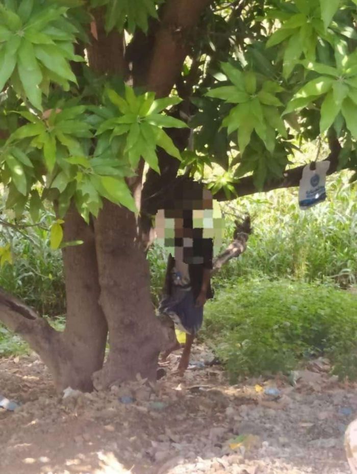 مواطن ينتحر في معافر تعز نتيجة الظروف المعيشية 