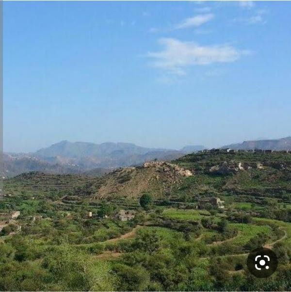 مسلحون يطلقون النار على منزل رجل أعمال بالمعافر ويهددون بإحراقه