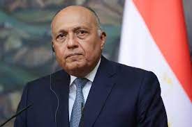 وزير الخارجية المصري:  الدول المطلة على البحر الأحمر تتحمل مسؤولية لحمايته