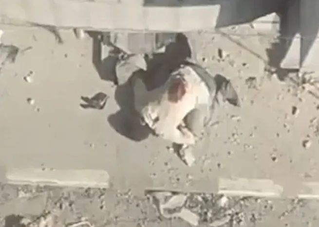 الشهيد الساجد، المقاوم الفلسطيني يتلو آيات قرآنية تتنبأ بطريقة استشهاده ساجدا 