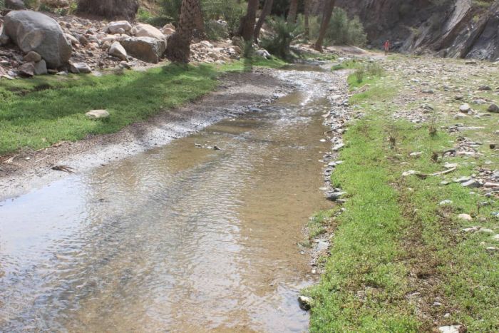 أبناء زريقة الشام يطالبون محافظ المحافظة اللواء تركي ازالة  الاعتداء من الشماية على اراضي الزريقة