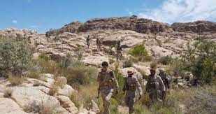 استهداف مواقع وتحركات قتالية للحوثيين في غور صعدة