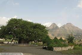 النجدة تقتل شقيق عاقل السوق بالسمسرة بعد منع شق طريق بأرضه