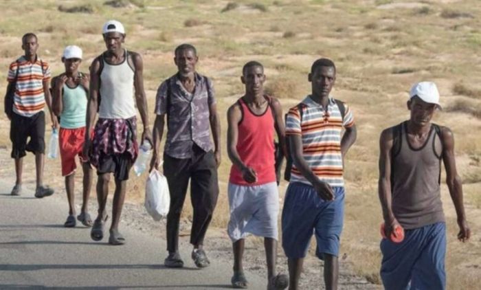 المهاجرون الأفارقة يتدفقون إلى عدن ولحج والجهات الأمنية تلاحق المهربين