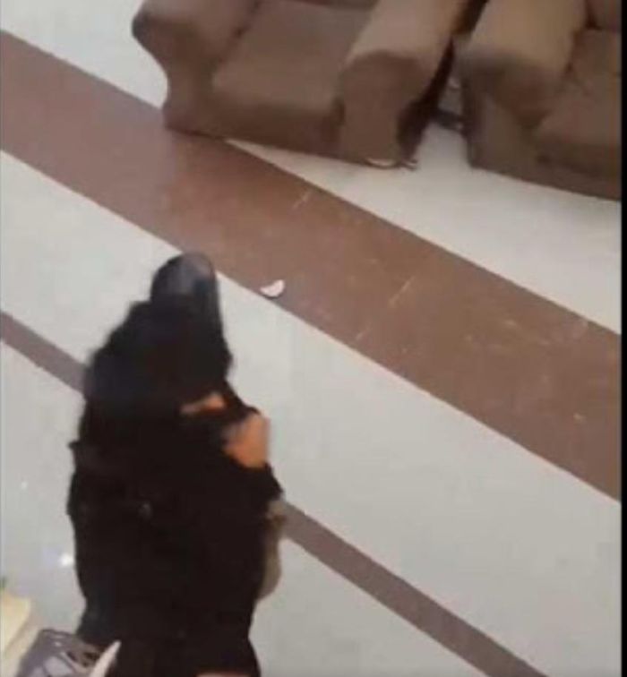 مسلحو الحوثي يرتكبون عيبا اسودا في صالة أفراح بصنعاء
