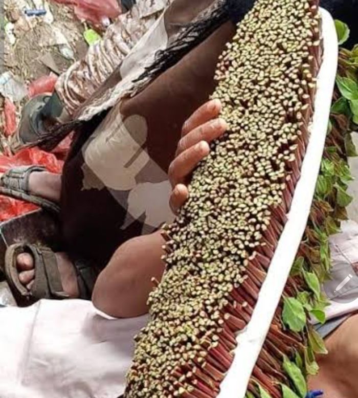 أبين: مقتل مواطن بسبب النزاع على "حبه قات"