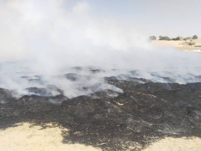في واقعة غريبة ومؤلمة .. احتراق محصول زراعي في شبوة