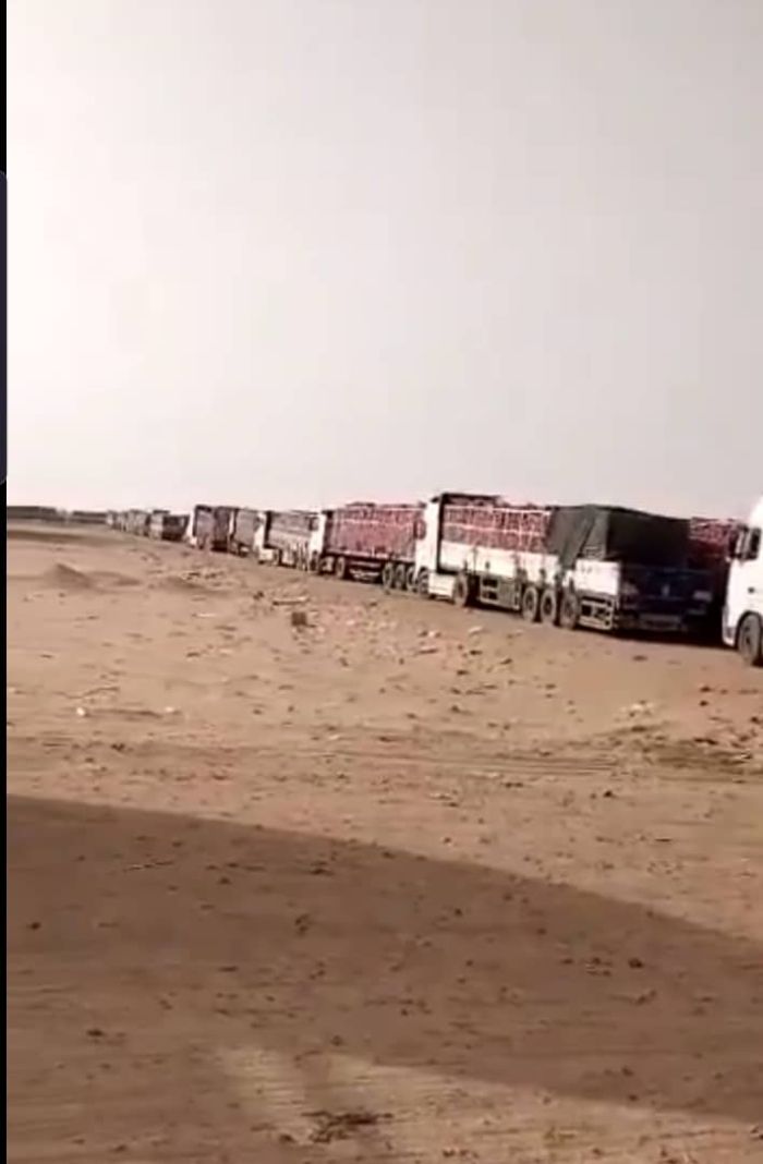 قرار منع تصدير البصل يتحوّل إلى ابتزاز للتجار في منفذ الوديعة