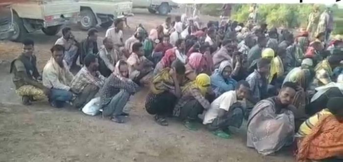 الحملة الأمنية تحبط عملية تهريب مهاجرين غير شرعيين في لحج