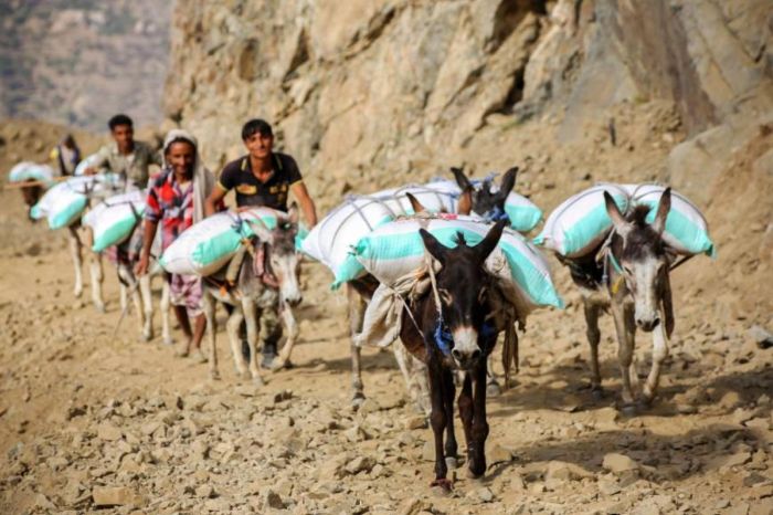 الطرقات .. قضية ما تحملها ملف .. و إغلاق حتى إشعار آخر وشعب يموت