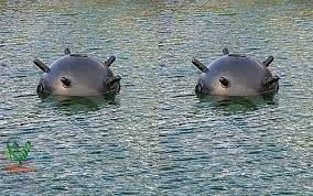 ناشط إيراني وصف نظام الملالي بأخطبوط الإرهاب ..