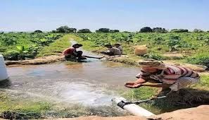 جبايات الحوثي تهدد المزارعين بالإفلاس