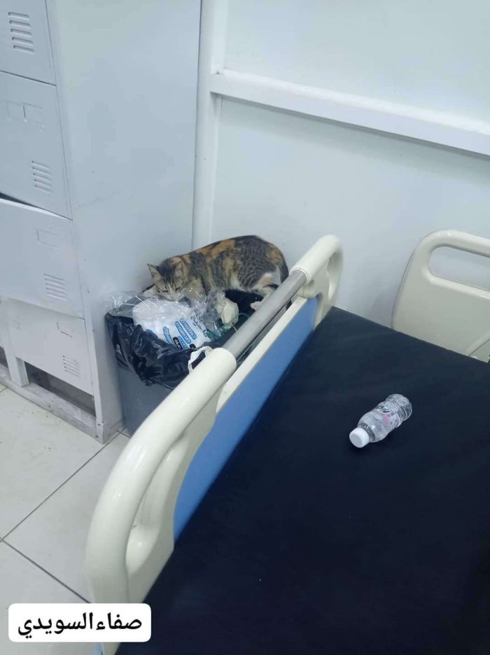 تقرير عن وضع المستشفيات في عدن وابين