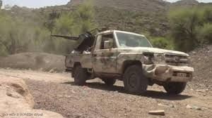 "المشتركة" تأسر مقاتلًا حوثيًا في جبهة الساحل الغربي