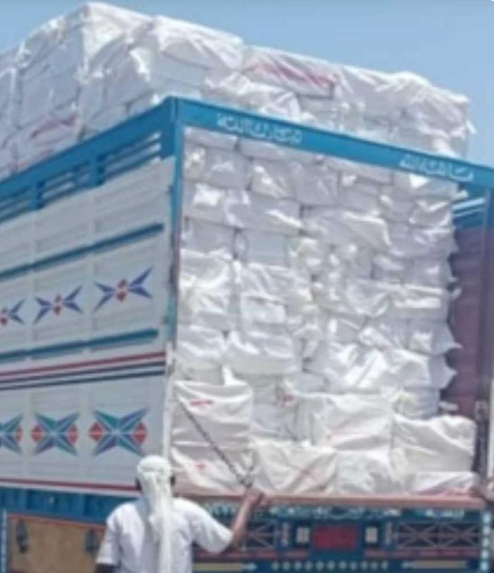 نقلتها عبر أطقمها إلى مخازنها .. مسرحية حوثية بضبط مبيدات سامة في الحديدة لتخفيف الحملة ضد قياداتها