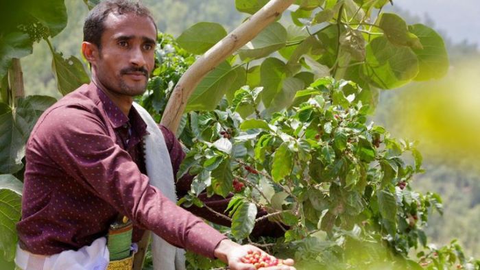 وسط انباء عن توقف تصدير بعض المنتجات الزراعية ..  عصابة الحوثي تدق مسمار جديد في نعش الاقتصاد اليمني