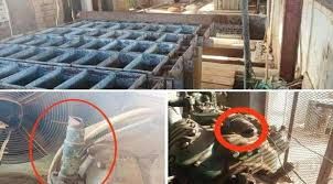 القبض على عصابة نهبت مصنعًا للثلج في الشحر بحضرموت