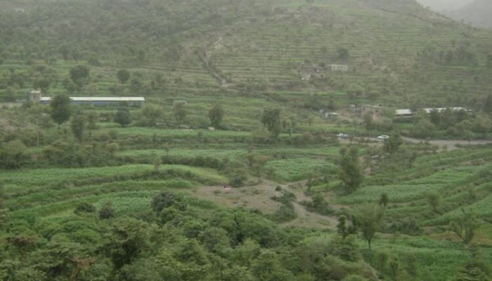 محاولة اغتيال نائب مدير قسم شرطة الضباب بتعز