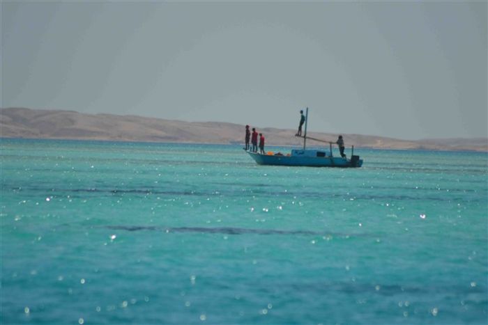 الاتحاد الأوروبي يعلن تأمين 100 سفينة  في البحر الأحمر