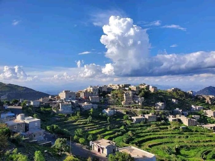 حكامٌ بأمر الحوثي ينهبون ويبطشون ويعيثون فسادًا في حيفان  