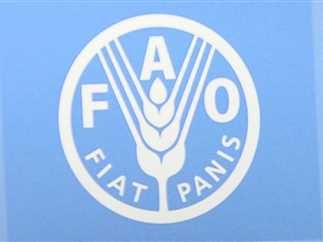 الفاو : اليمن مهددة بفيضانات شديدة تدمر البنى التحتية و المحاصيل الزراعية