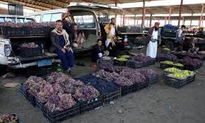 مليشيات الحوثي تفرض جبايات مجحفة على مزارعي العنب