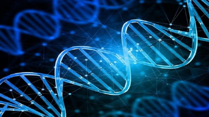 روسيا.. تدريب الشبكة العصبية على تقييم الخطر المحتمل للأدوية على القلب