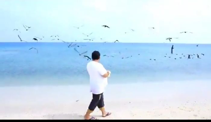  فيما عصابته تنهب اليمنيين .. قيادي حوثي يثير سخرية الناشطين بفيديو إطعام الطيور