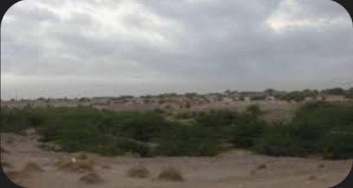  مليشيا الحوثي تقصف قرى سكينة في الحيمة بالحديدة