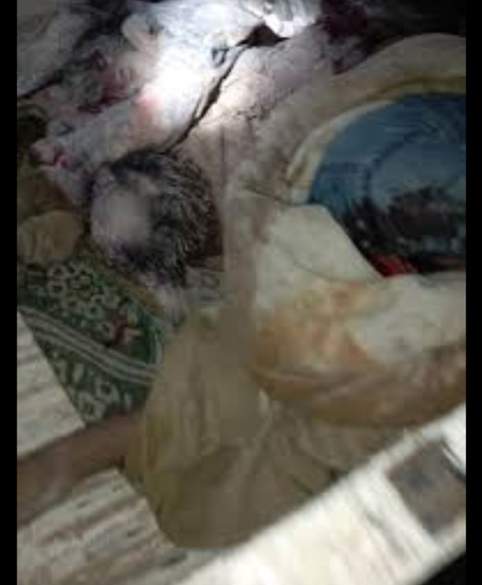  مقتل 11 شخصا بحادث مروري في المهرة