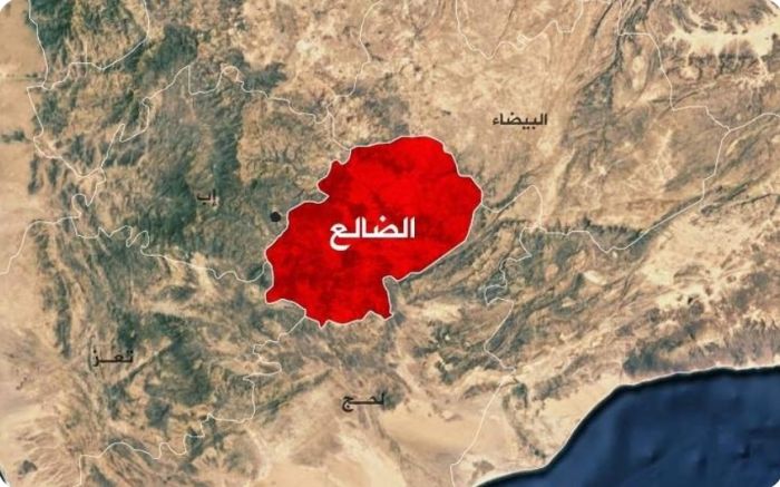   القبض على قاتل شقيقه بالضالع