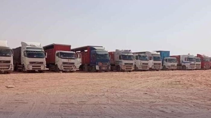 السعودية .. تحظر دخول شاحنات تصدير الأسماك اليمنية لليوم السادس على التوالي