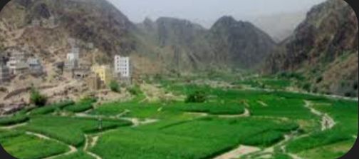  لحج .. قتل نجله بعشرين طعنة في جسده