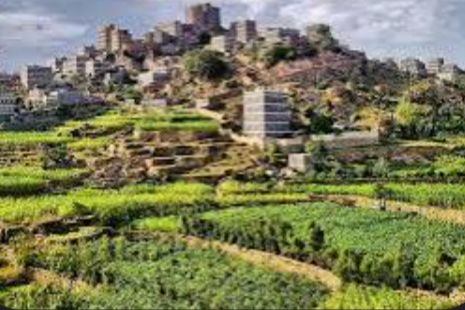  لحج .. فضيحة فساد في توزيع مساعدات إنسانية بمديرية القبيطة