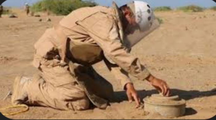  تفكيك 840  لغمًا من مخلفات الحوثي خلال الأسبوع الماضي