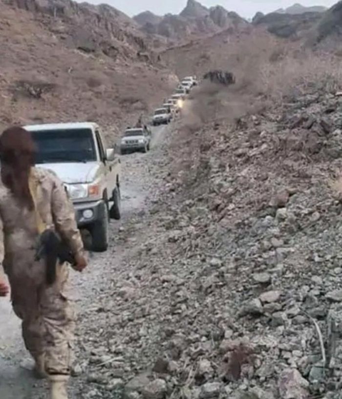  لحج .. القبض على قاتل بعد ساعة من ارتكاب الجريمة برأس العارة