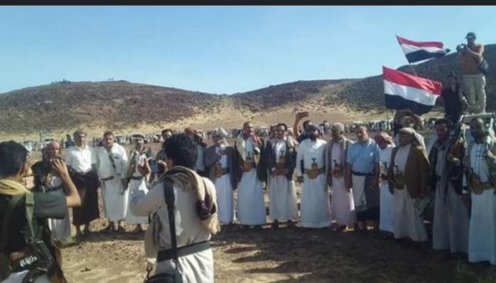  قبائل إب تدرس التصعيد ضد مليشيا الحوثي