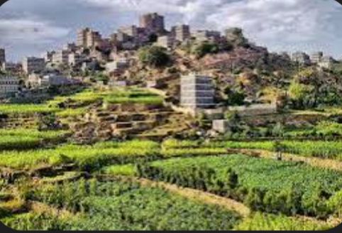  رفض تحكيم قبلي في قضية اغتصاب الطالبات بلحج