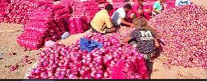  السعودية ترفع الحظر عن الصادرات الزراعية والسمكية اليمنية